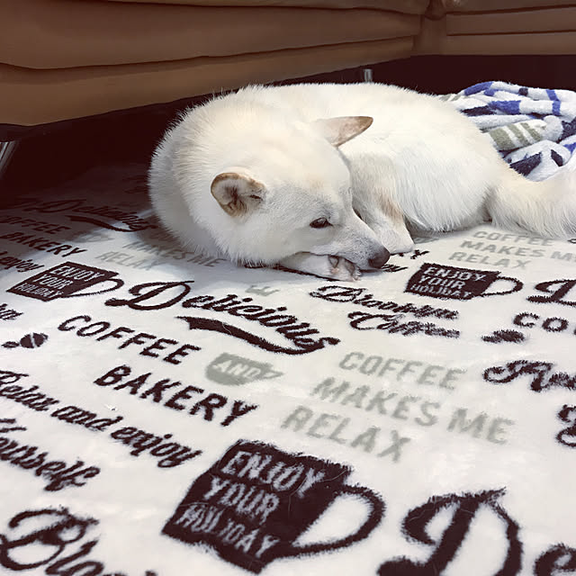 pillowsさんの実例写真