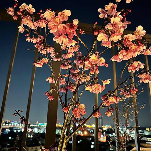 endlesssummerさんの部屋