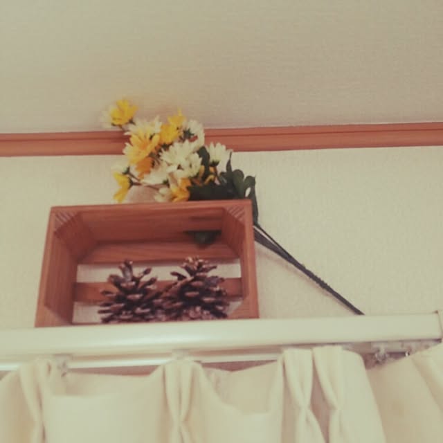 Kurumiさんの実例写真