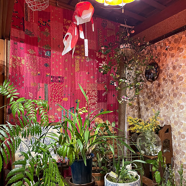 shin0719さんの部屋