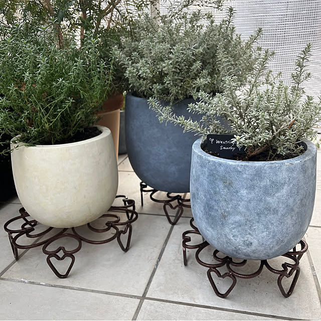 felicityさんの実例写真