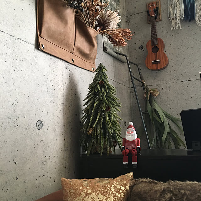 onokenkoさんの実例写真