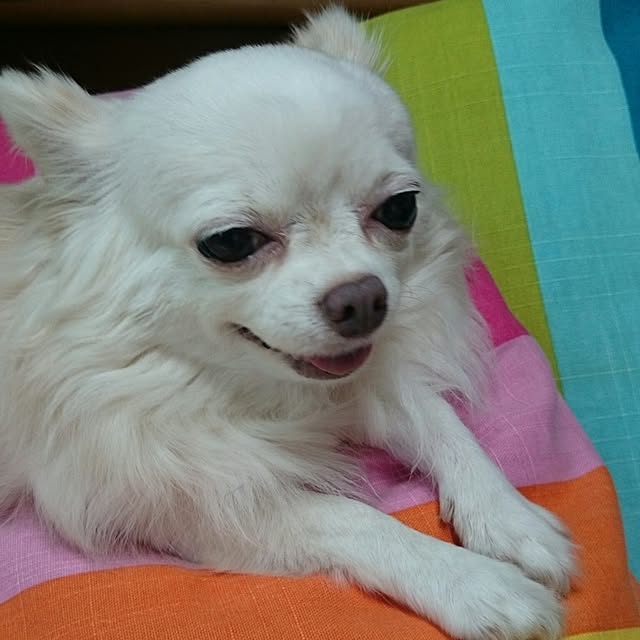Eirさんの実例写真
