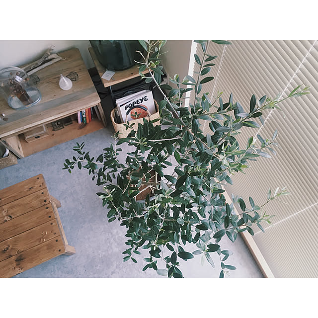 ameさんの実例写真
