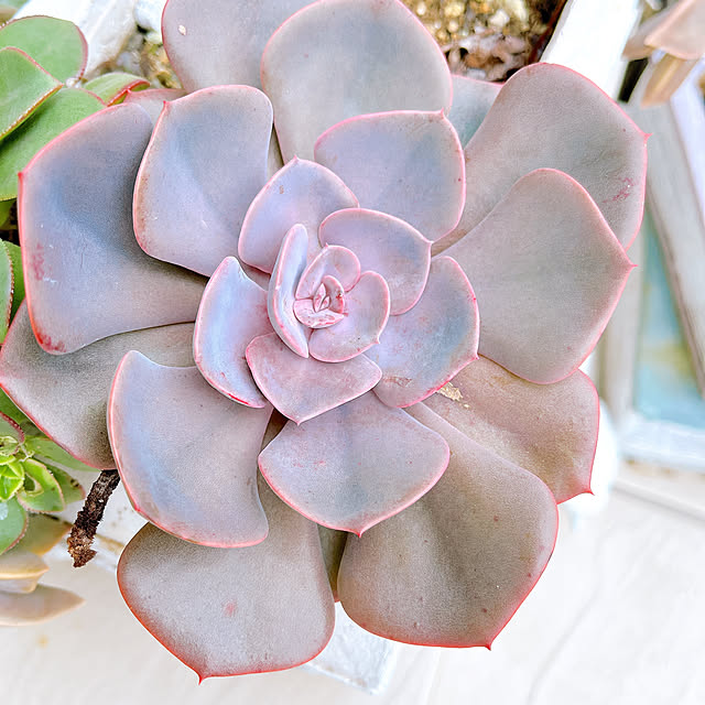 eriharuさんの部屋