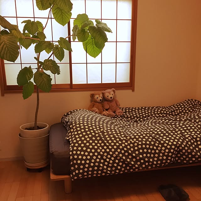 mionaさんの実例写真