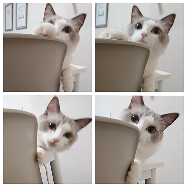 sumishouseさんの実例写真