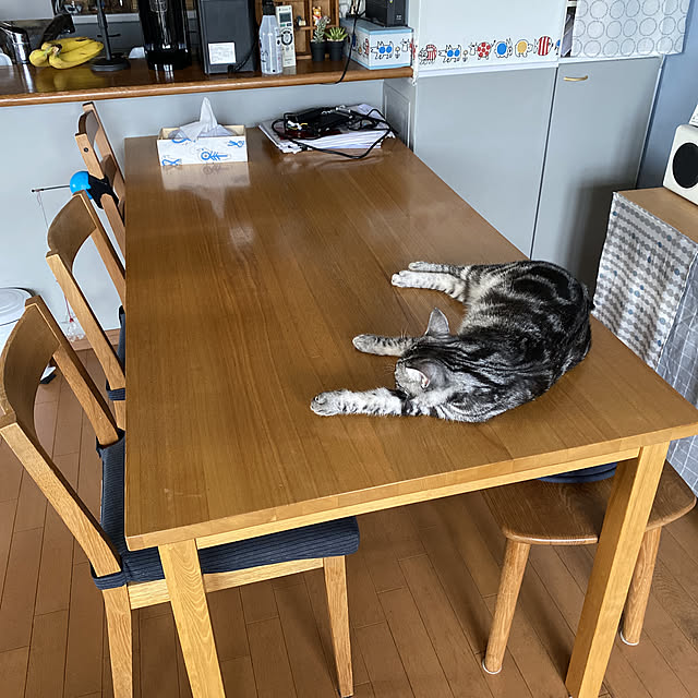 yuzuaoさんの実例写真
