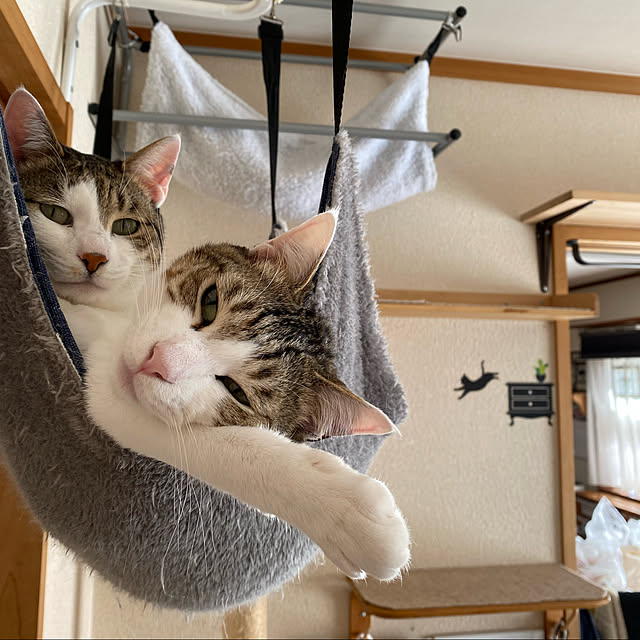 Lufuさんの実例写真