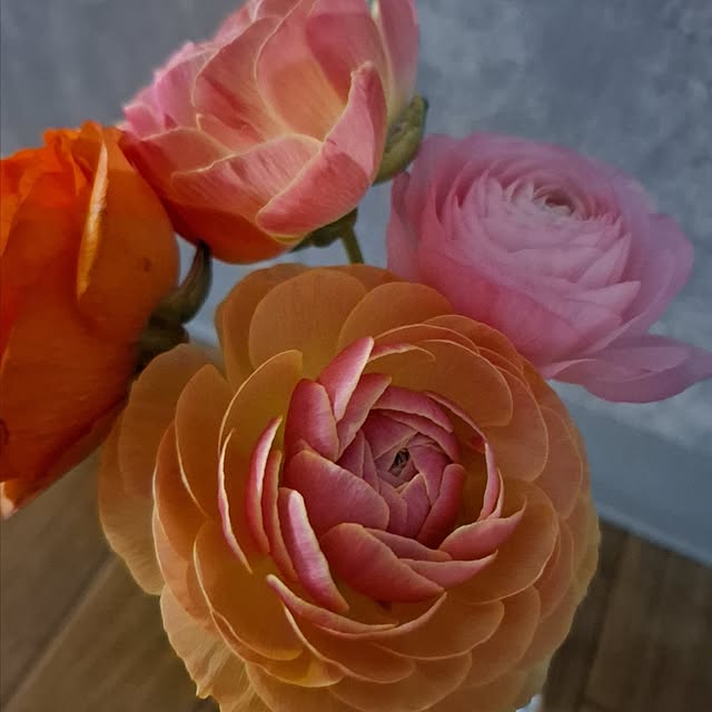 noaさんの実例写真