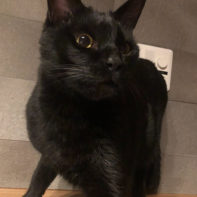 hiroさんの実例写真