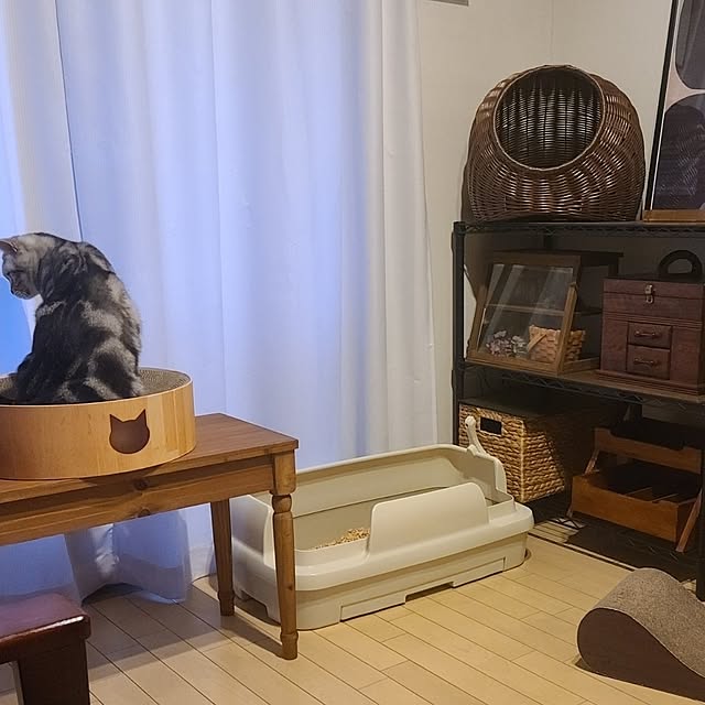 lovepeaceさんの部屋