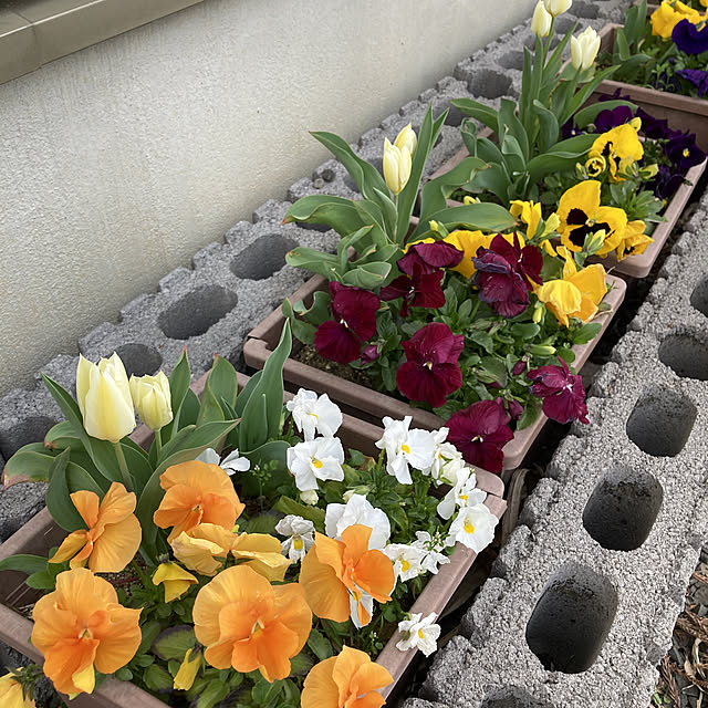 kyonさんの実例写真