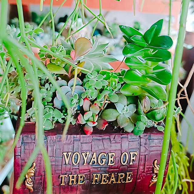 Hanakaさんの実例写真