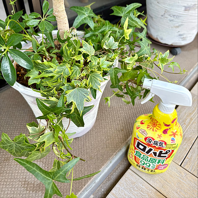 momo_sanさんの実例写真