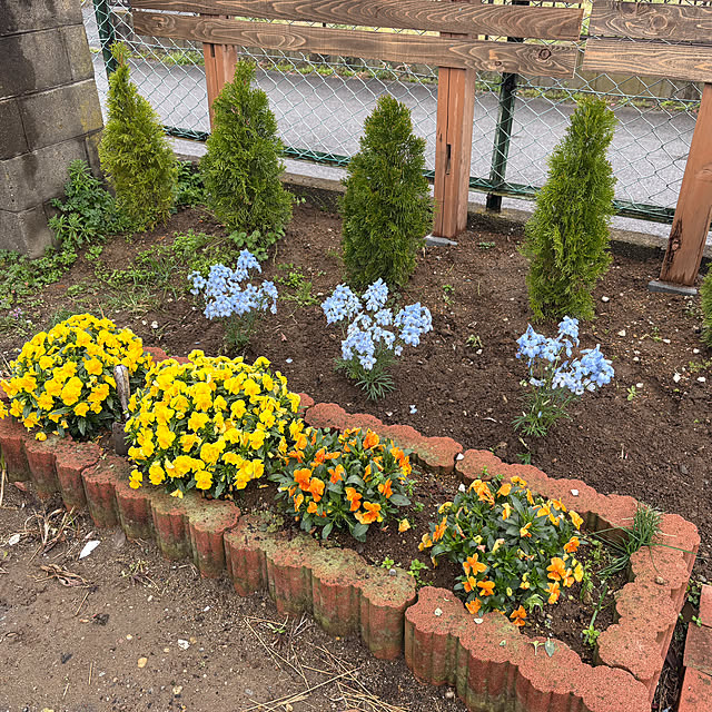 akkeyさんの実例写真