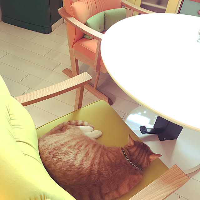 kimishigureさんの実例写真