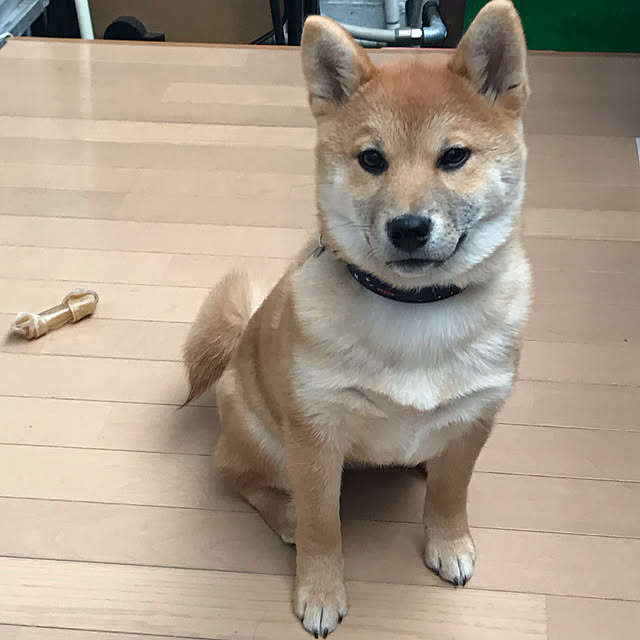 shiotanさんの実例写真