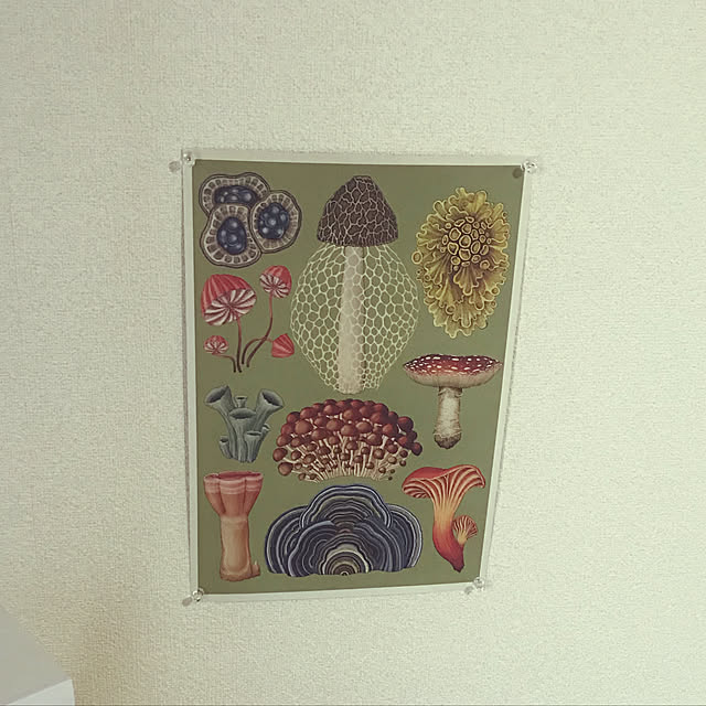 fukutetu55さんの実例写真