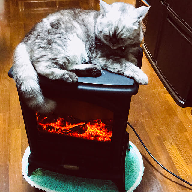 Marinさんの実例写真