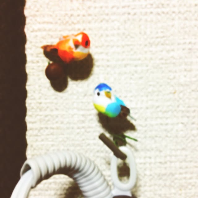 sasamiさんの実例写真