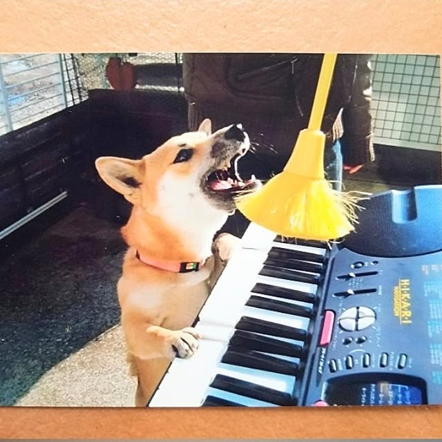 nanaさんの部屋