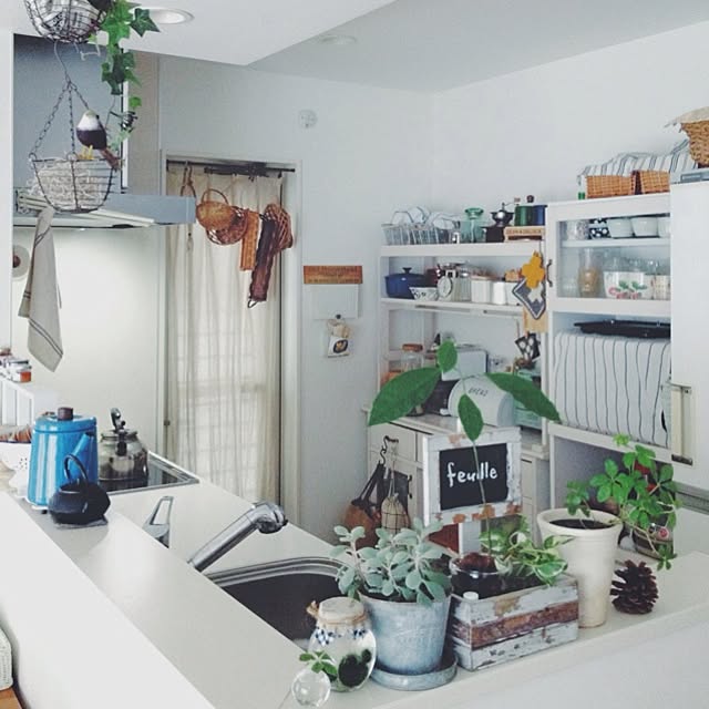 accoさんの実例写真