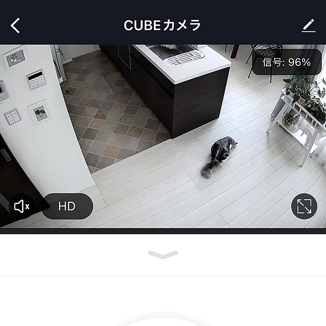 cotoriさんの部屋