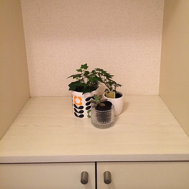r2.d2さんの実例写真
