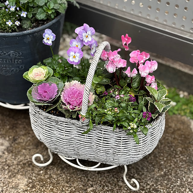 maayaさんの部屋