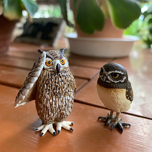 Aqettyさんの実例写真