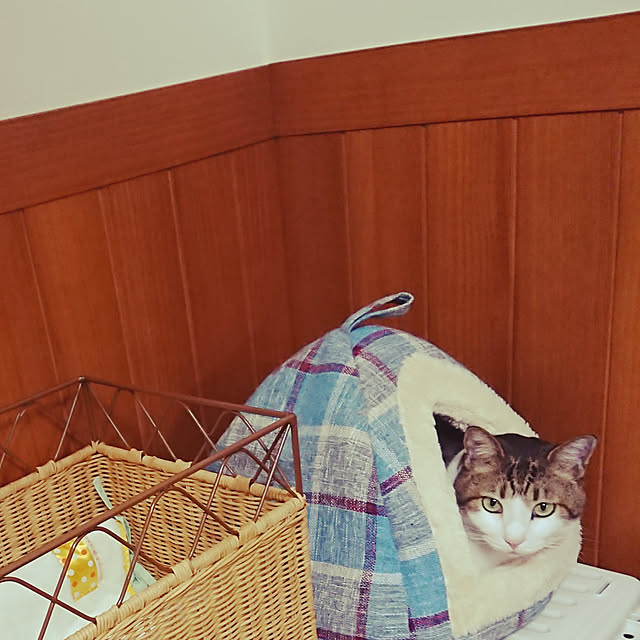 nachiさんの実例写真