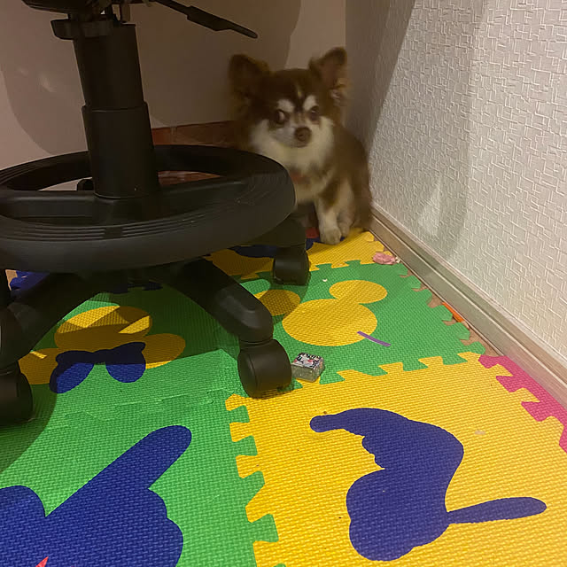 chIoeさんの部屋