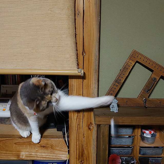 fukuさんの実例写真