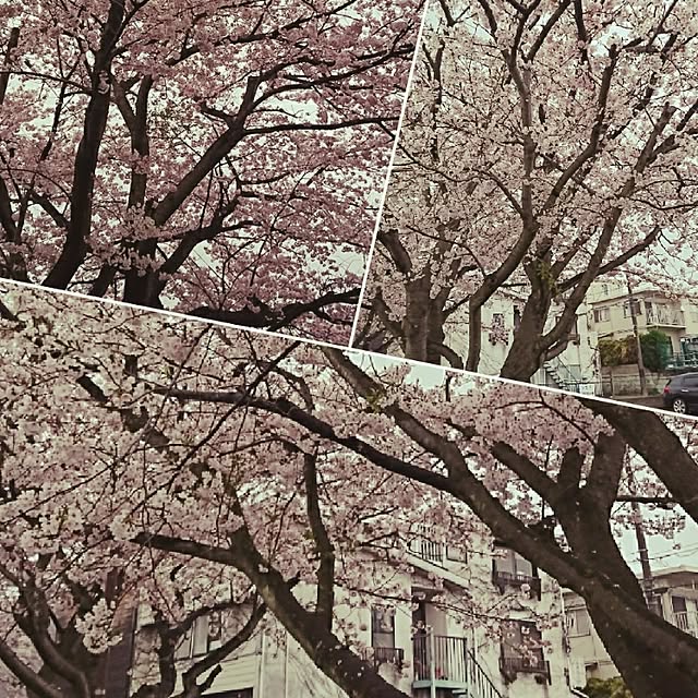 chibimama0521さんの実例写真