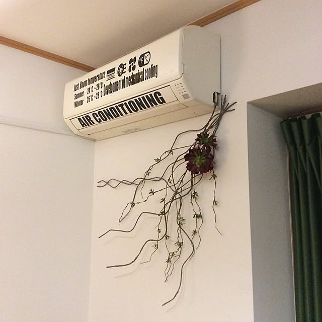 torao.jdさんの実例写真