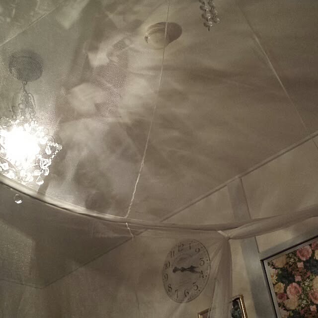 cottonさんの実例写真
