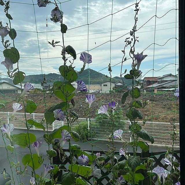 ritsukoさんの部屋