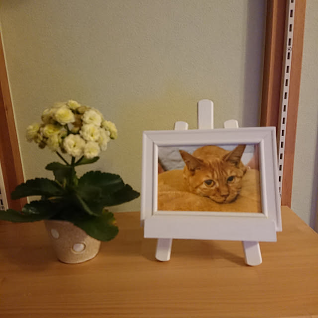 taka-kiさんの実例写真