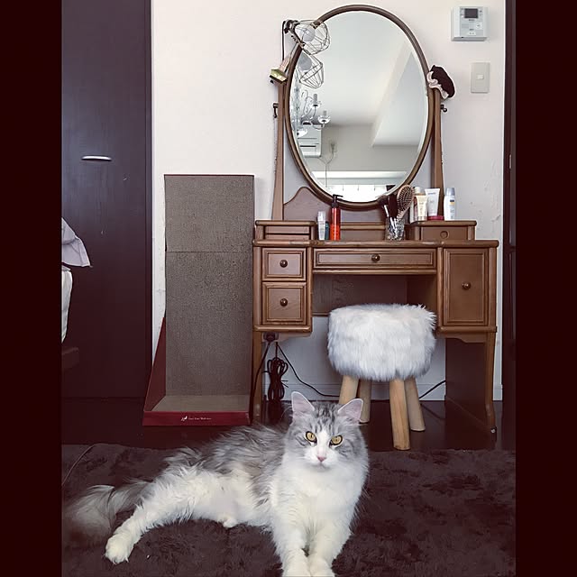 ymk999さんの実例写真