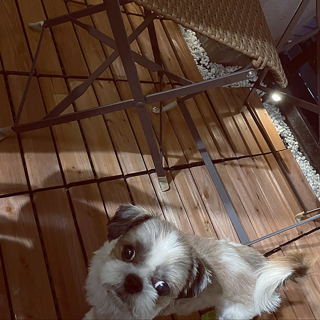 momoさんの実例写真