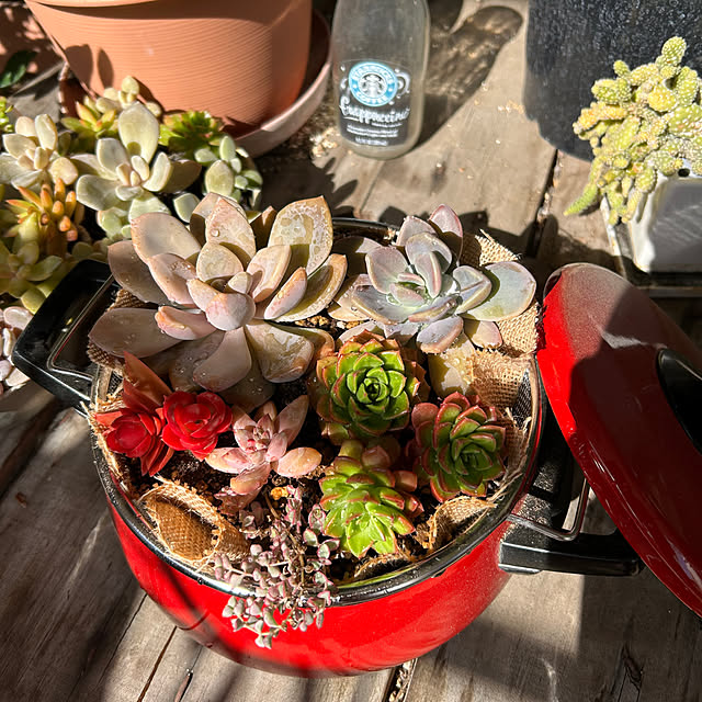 suemonta14さんの部屋