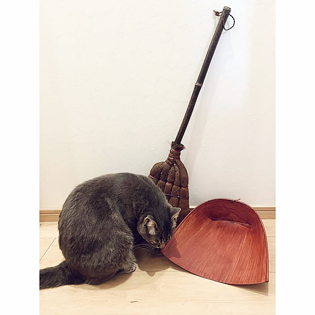 yuzukoさんの部屋