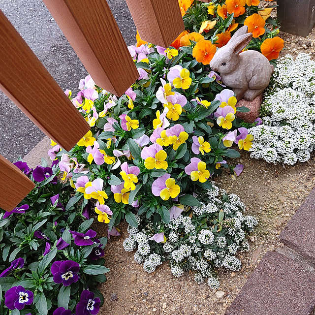 tomoさんの実例写真