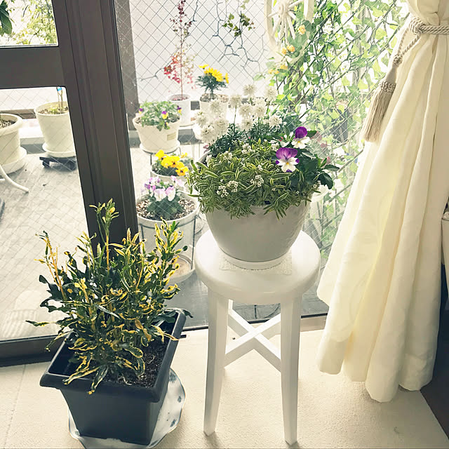 yuko25さんの実例写真