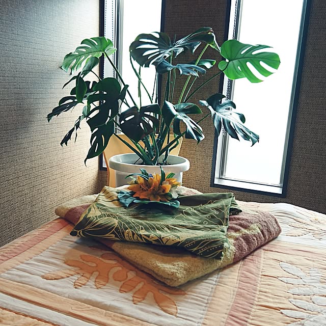 cocosorasakuさんの実例写真
