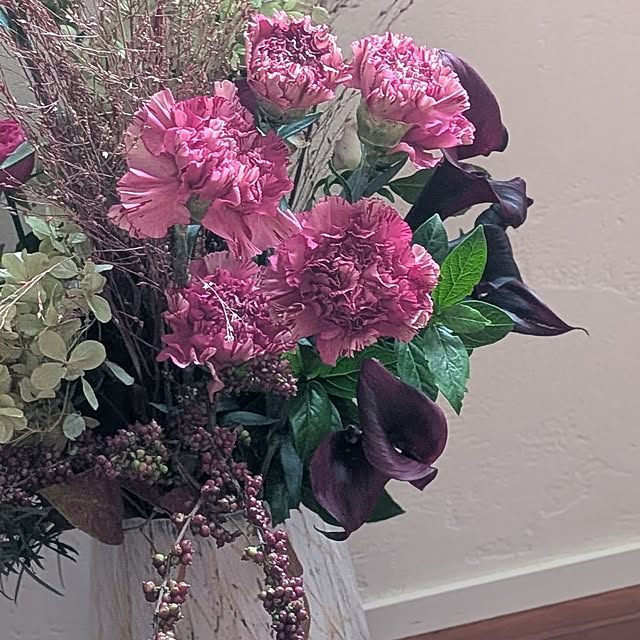 nolleyさんの部屋
