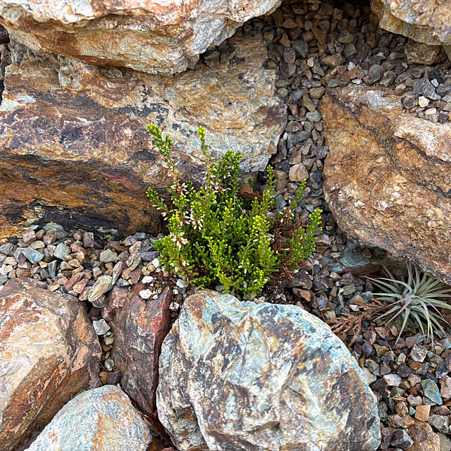 bonjiri0824さんの実例写真
