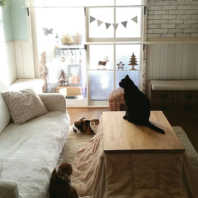 mikiさんの実例写真