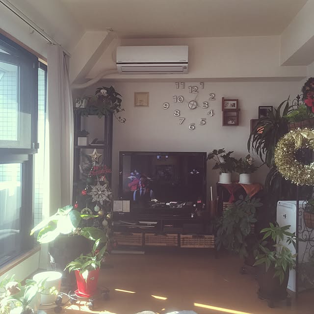 h163romiさんの実例写真